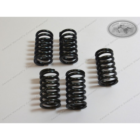 Clutch Spring Kit 5 pieces Kawasaki KX250 1982-85, KLR650A 1987-95