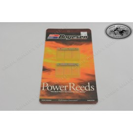 Boyesen Power Reed Kit for all Maico 250/490/500 Models from 1981 on
